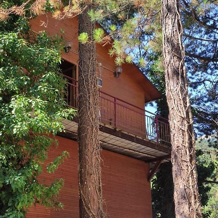 Hotel Toni Llogora Dukat 外观 照片