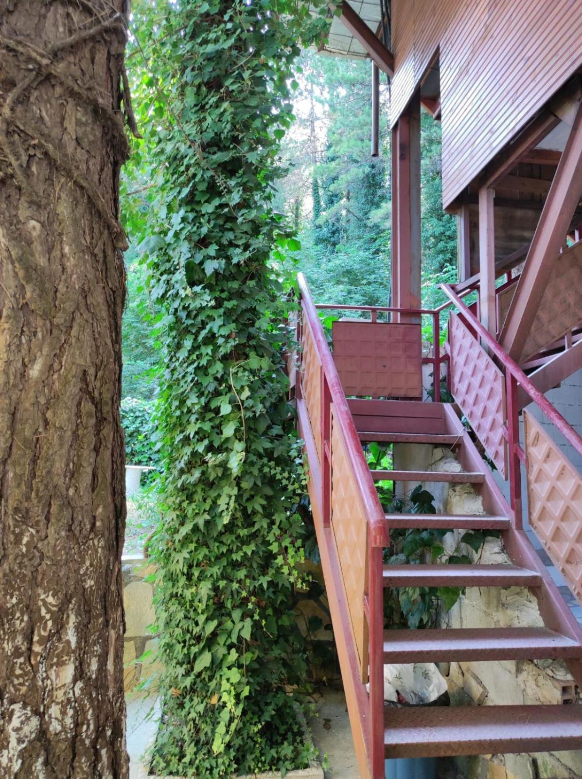 Hotel Toni Llogora Dukat 外观 照片