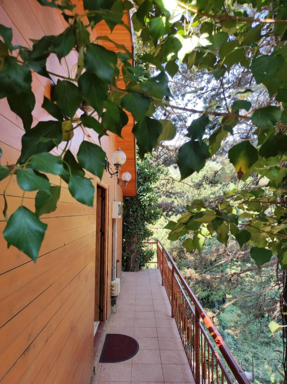 Hotel Toni Llogora Dukat 外观 照片